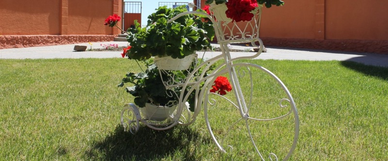 Кто заказывал такси на пляж? :)