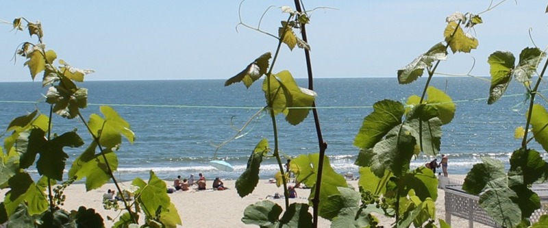 А как Вам такой вид с балкона? Да, это Парус...