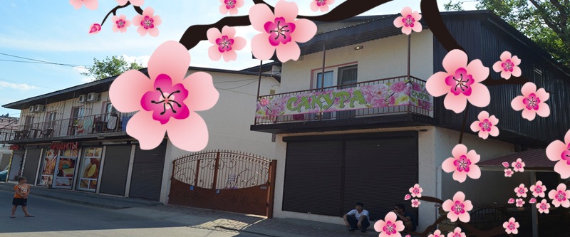 Сакура, база отдыха Затока